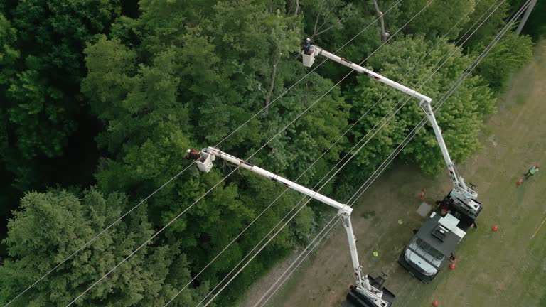 Seasonal Cleanup in Dorr, MI